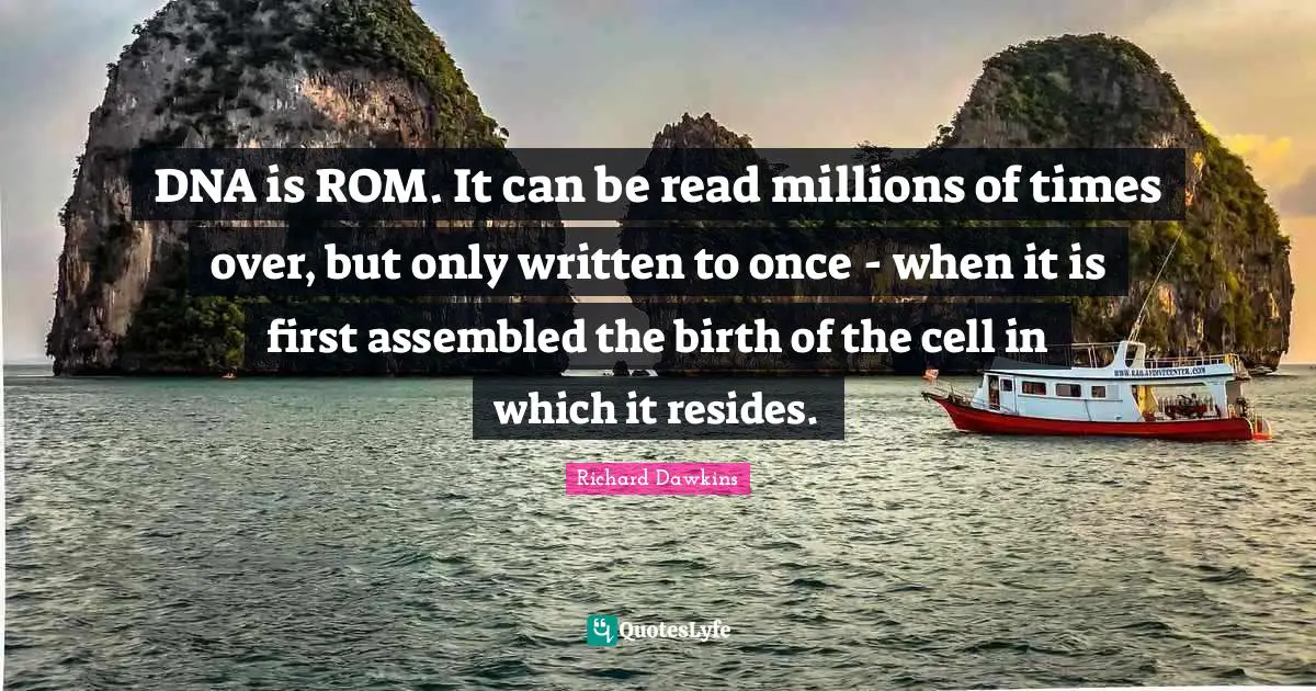 DNA is ROM. It can be read millions of times over, but only written to once - when it is first assembled the birth of the cell in which it resides.