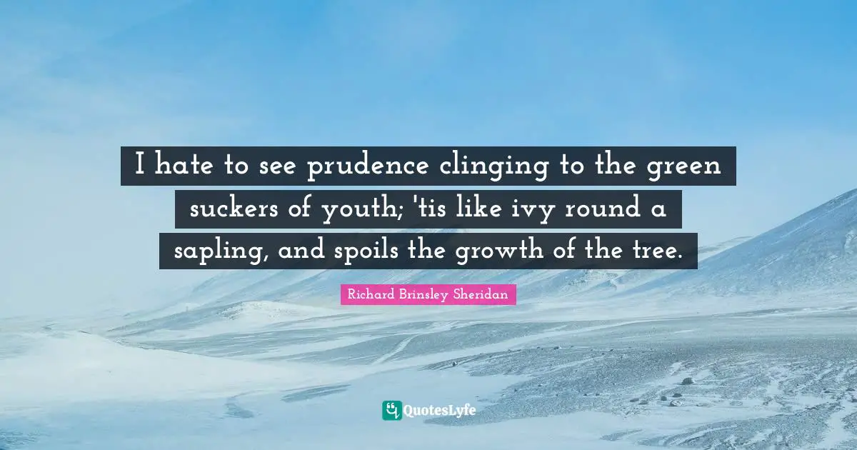 I hate to see prudence clinging to the green suckers of youth; 'tis like ivy round a sapling, and spoils the growth of the tree.