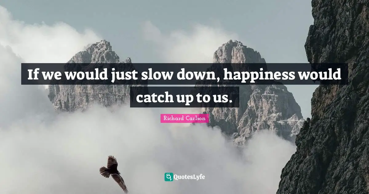 If we would just slow down, happiness would catch up to us.