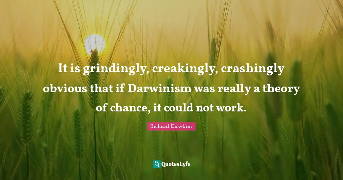 It is grindingly, creakingly, crashingly obvious that if Darwinism was really a theory of chance, it could not work.