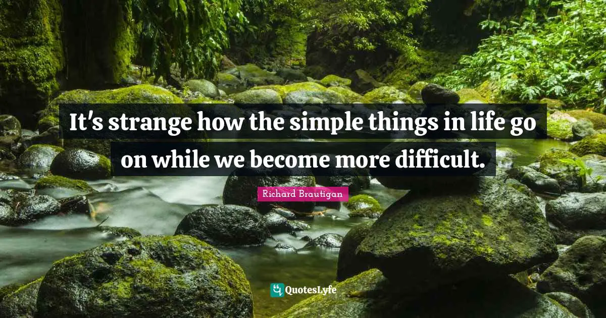 It's strange how the simple things in life go on while we become more difficult.