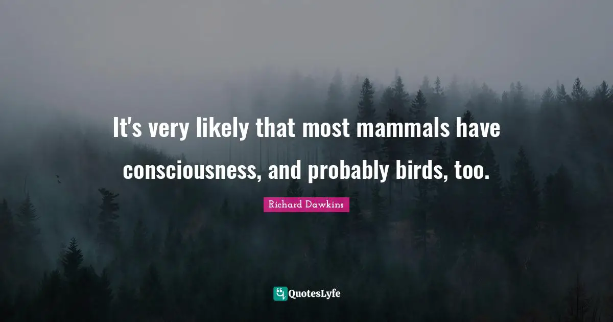It's very likely that most mammals have consciousness, and probably birds, too.