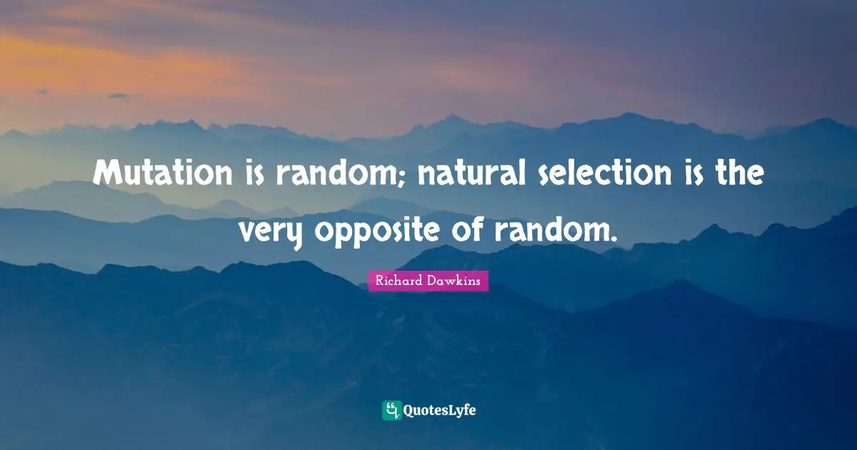 Richard Dawkins Quotes: "Mutation is random; natural selection is the very opposite of random."