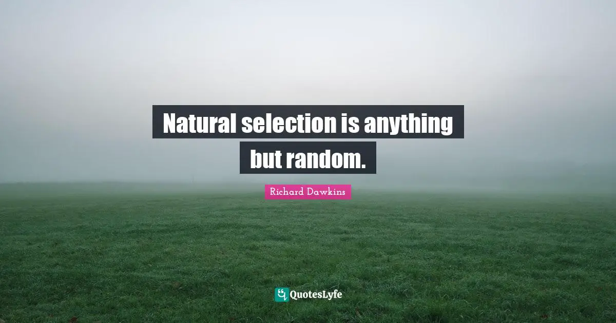 Natural Selection Quotes: "Natural selection is anything but random."