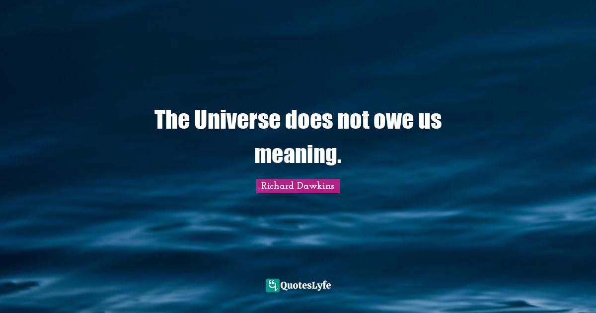 The Universe does not owe us meaning.