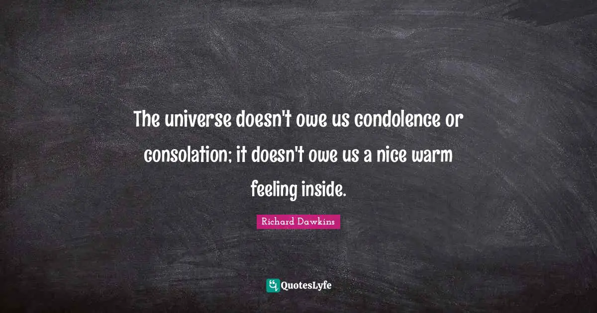 The universe doesn't owe us condolence or consolation; it doesn't owe us a nice warm feeling inside.