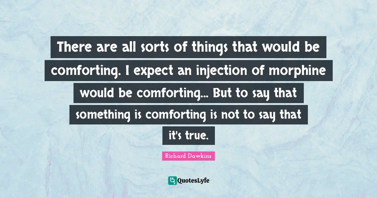 There are all sorts of things that would be comforting. I expect an injection of morphine would be comforting... But to say that something is comforting is not to say that it's true.
