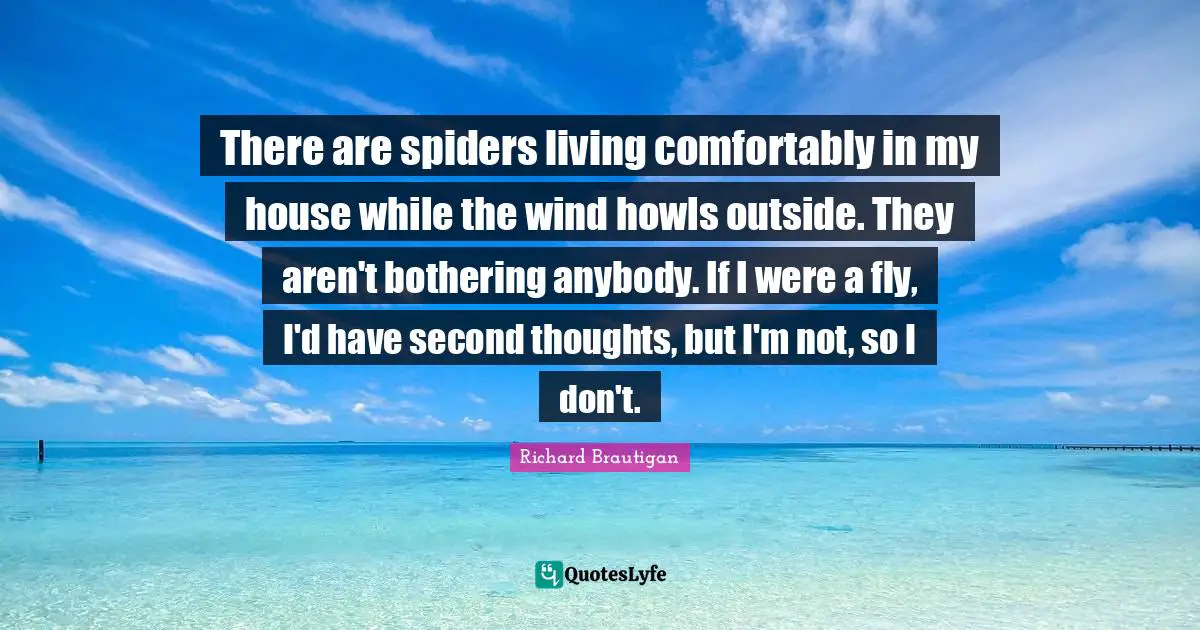 Spiders Quotes: "There are spiders living comfortably in my house while the wind howls outside. They aren't bothering anybody. If I were a fly, I'd have second thoughts, but I'm not, so I don't."