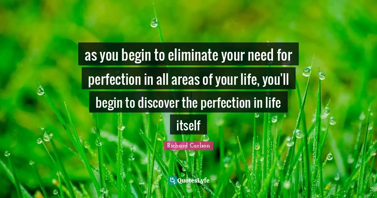 as you begin to eliminate your need for perfection in all areas of your life, you'll begin to discover the perfection in life itself