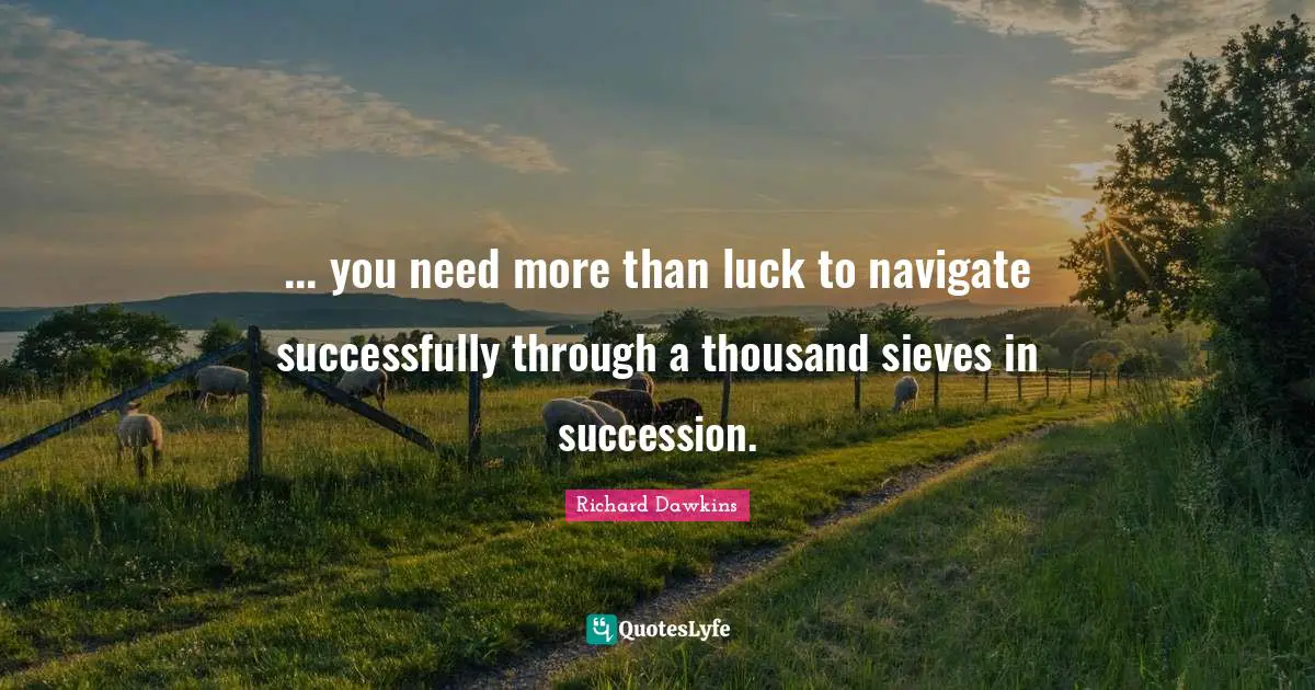 ... you need more than luck to navigate successfully through a thousand sieves in succession.