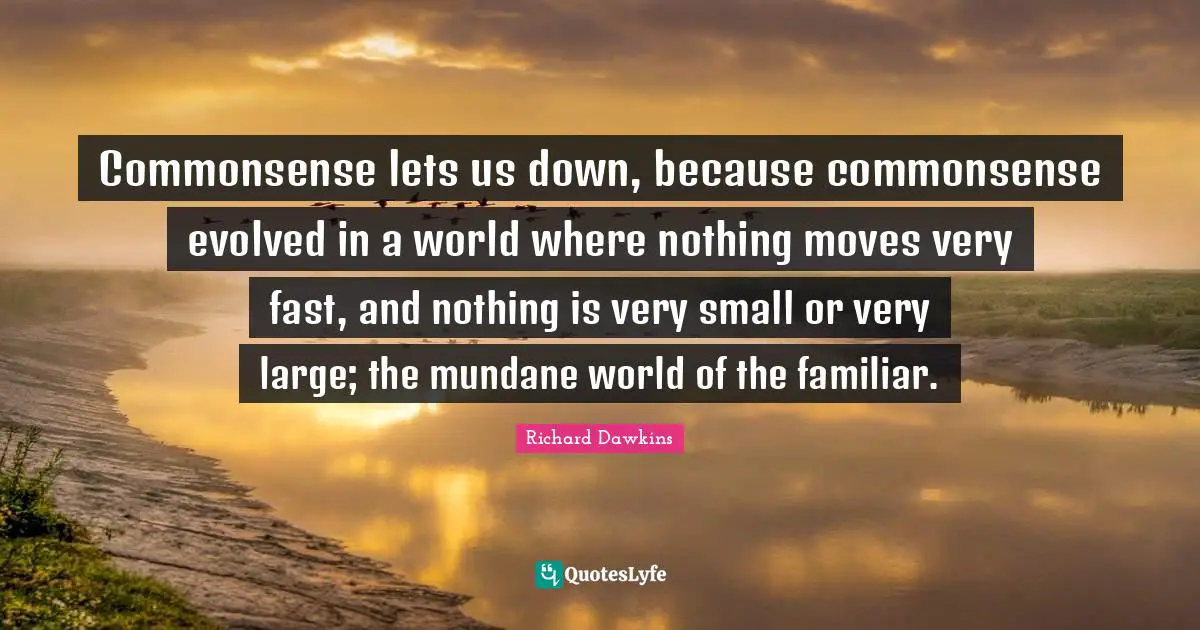 Commonsense lets us down, because commonsense evolved in a world where nothing moves very fast, and nothing is very small or very large; the mundane world of the familiar.