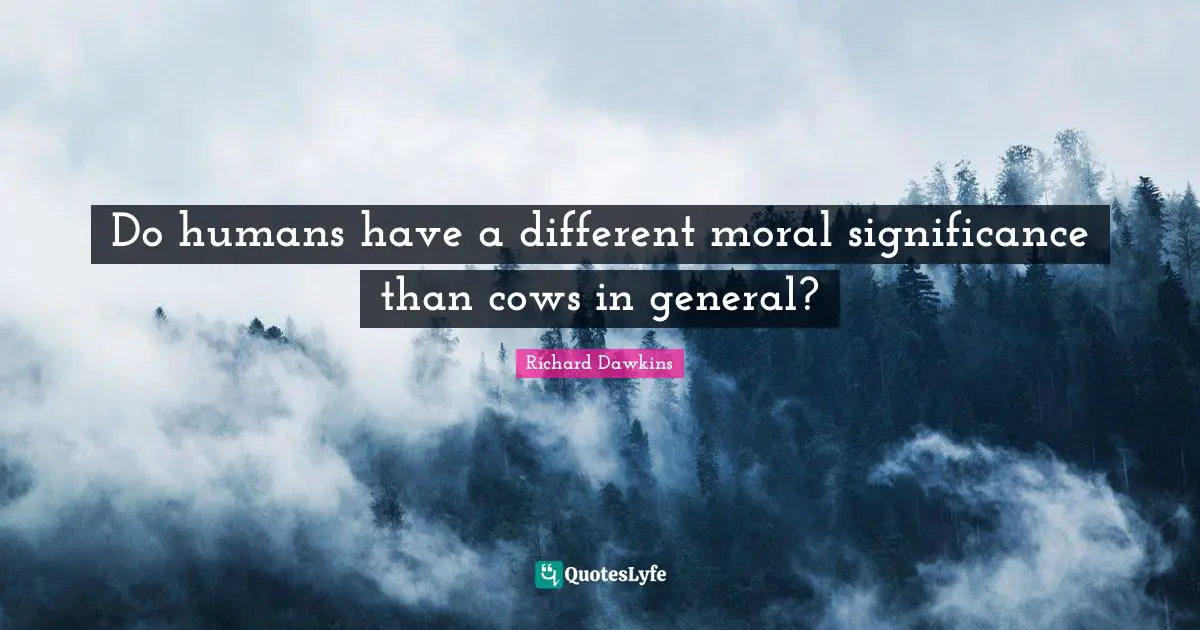 Do humans have a different moral significance than cows in general?