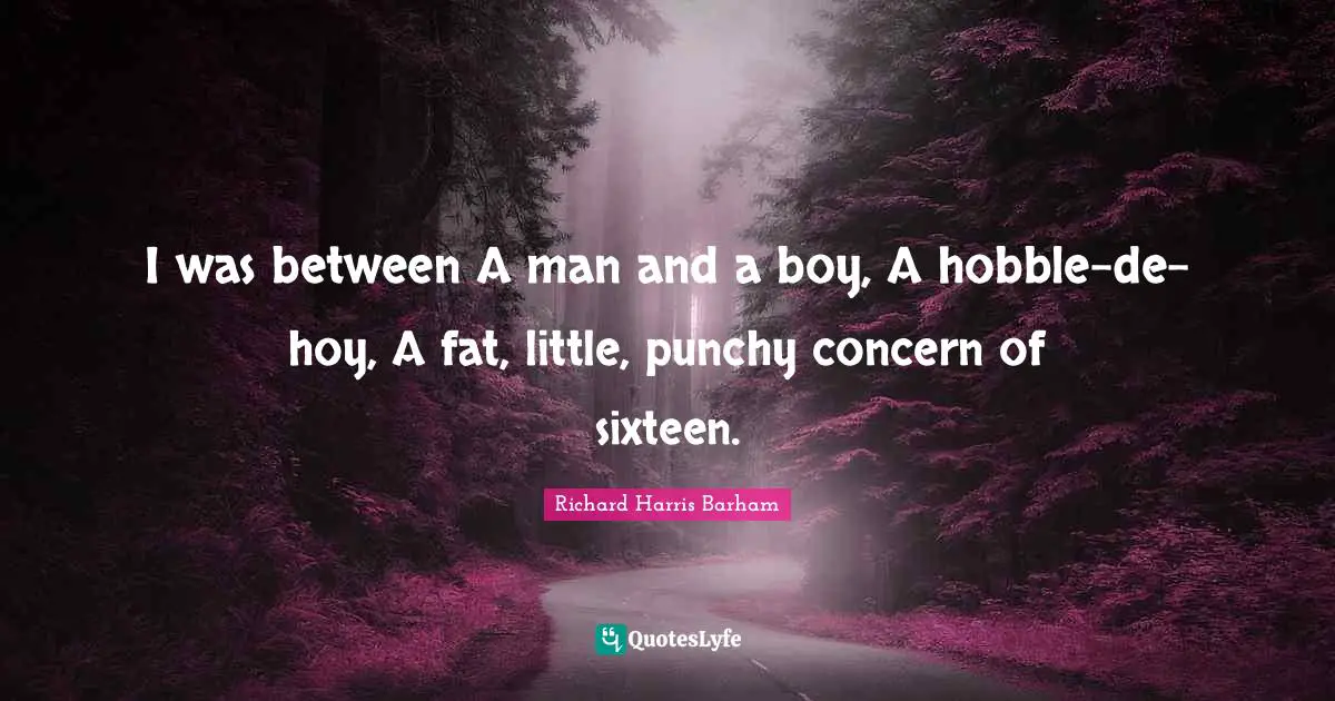 I was between A man and a boy, A hobble-de-hoy, A fat, little, punchy concern of sixteen.
