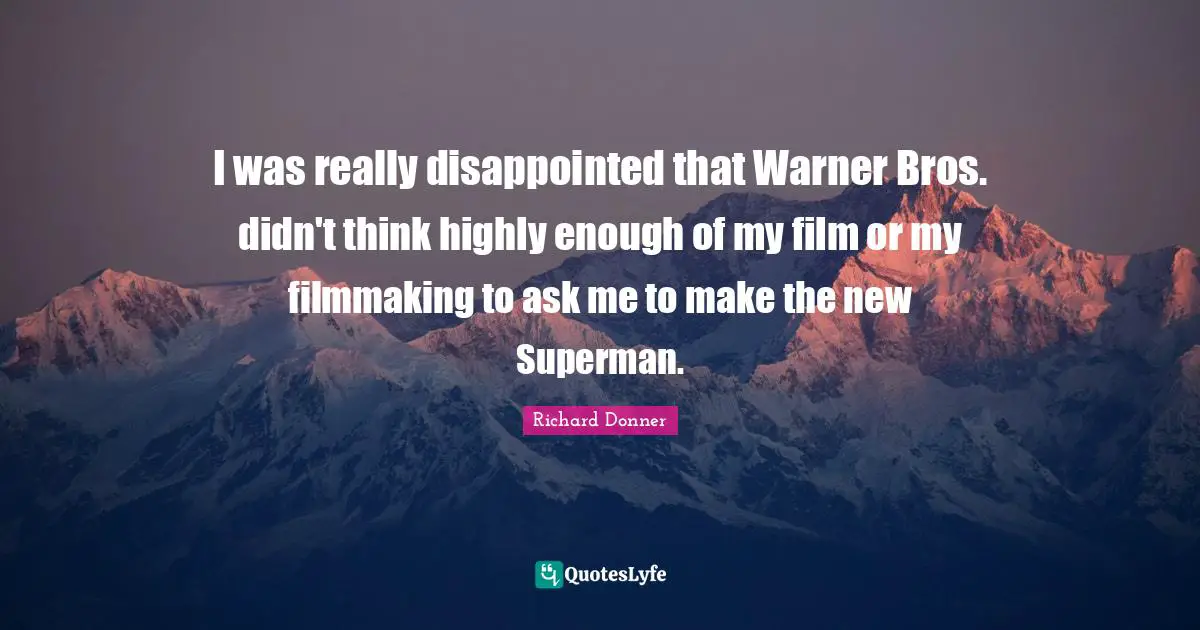 I was really disappointed that Warner Bros. didn't think highly enough of my film or my filmmaking to ask me to make the new Superman.
