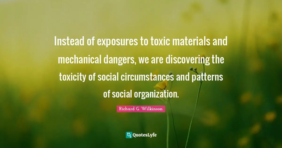 Instead of exposures to toxic materials and mechanical dangers, we are discovering the toxicity of social circumstances and patterns of social organization.