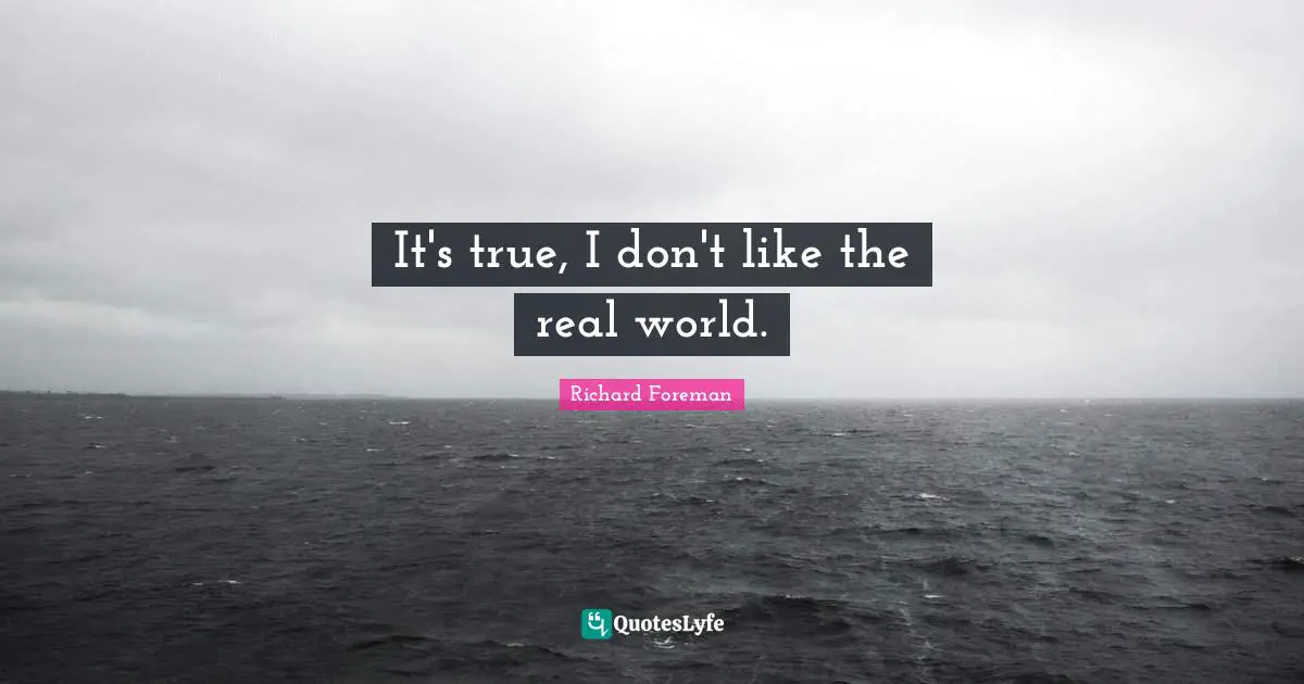 It's true, I don't like the real world.