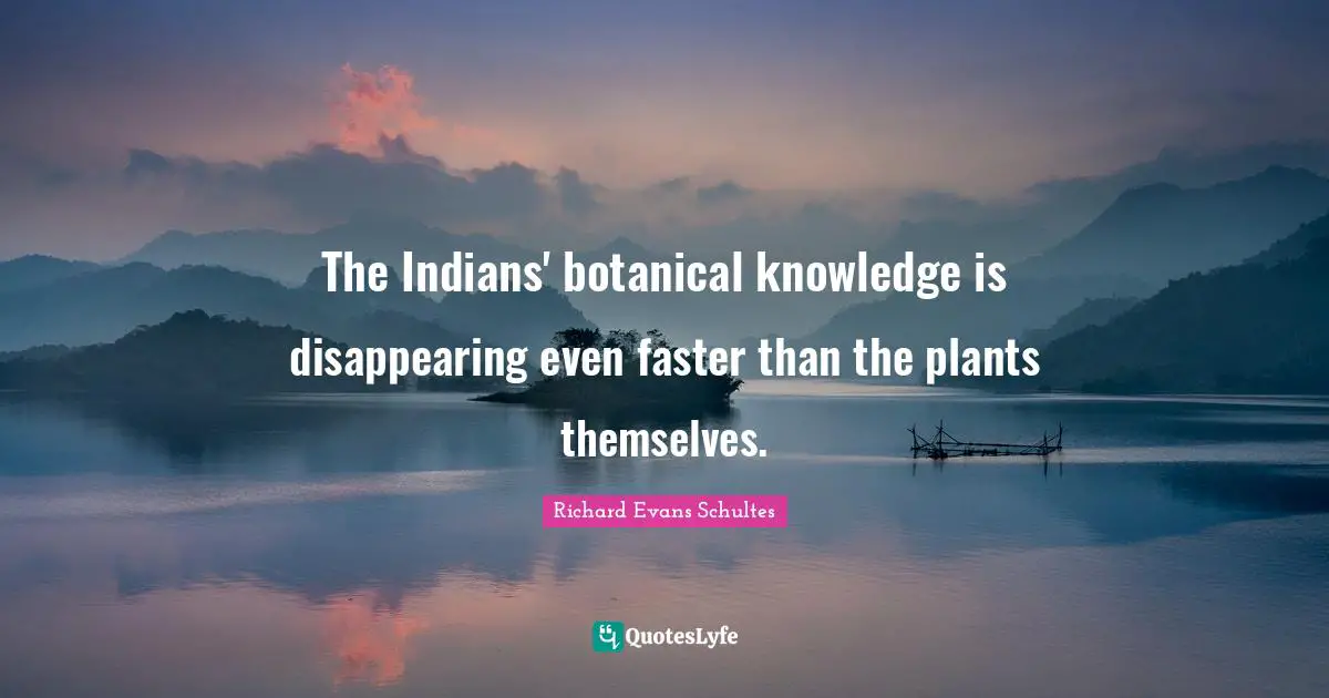 The Indians' botanical knowledge is disappearing even faster than the plants themselves.
