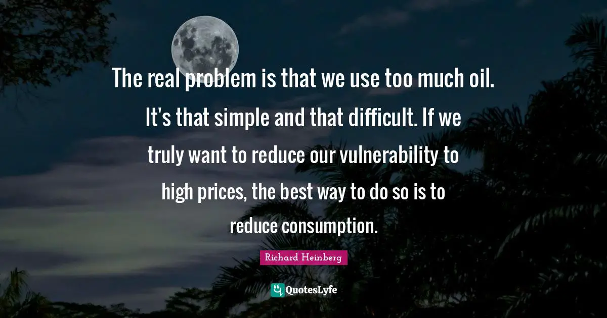 The real problem is that we use too much oil. It's that simple and that difficult. If we truly want to reduce our vulnerability to high prices, the best way to do so is to reduce consumption.