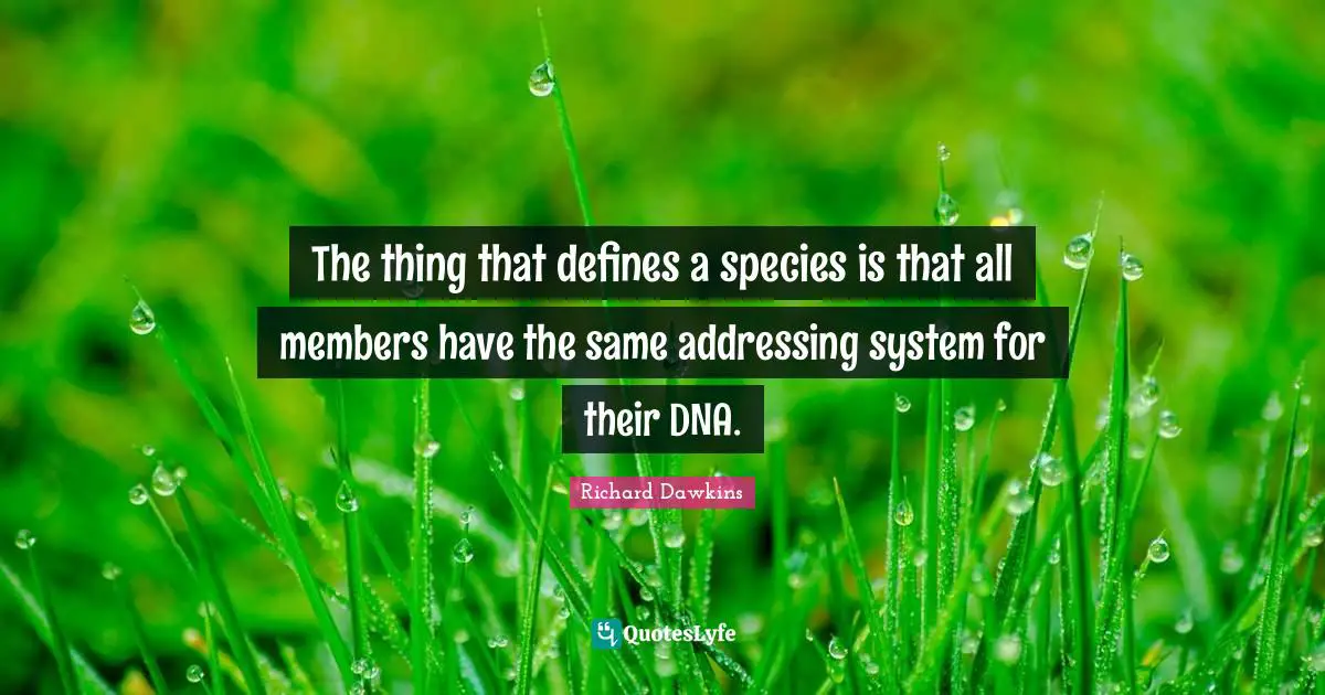The thing that defines a species is that all members have the same addressing system for their DNA.