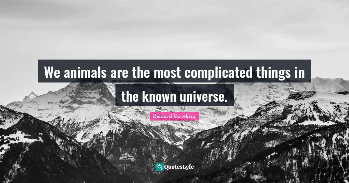 We animals are the most complicated things in the known universe.