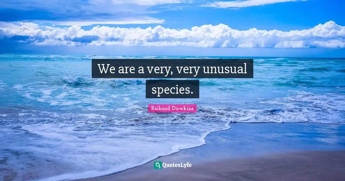 We are a very, very unusual species.