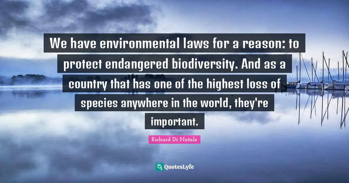 We have environmental laws for a reason: to protect endangered biodiversity. And as a country that has one of the highest loss of species anywhere in the world, they're important.