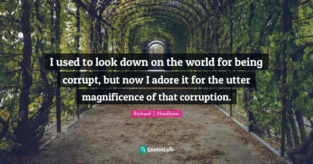 I used to look down on the world for being corrupt, but now I adore it for the utter magnificence of that corruption.