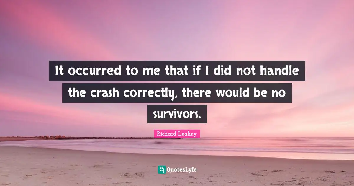 It occurred to me that if I did not handle the crash correctly, there would be no survivors.