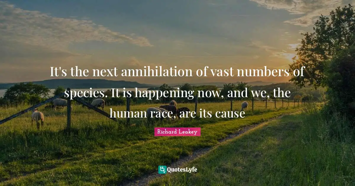 It's the next annihilation of vast numbers of species. It is happening now, and we, the human race, are its cause