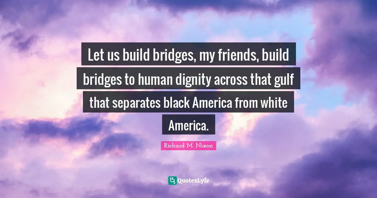Let us build bridges, my friends, build bridges to human dignity across that gulf that separates black America from white America.