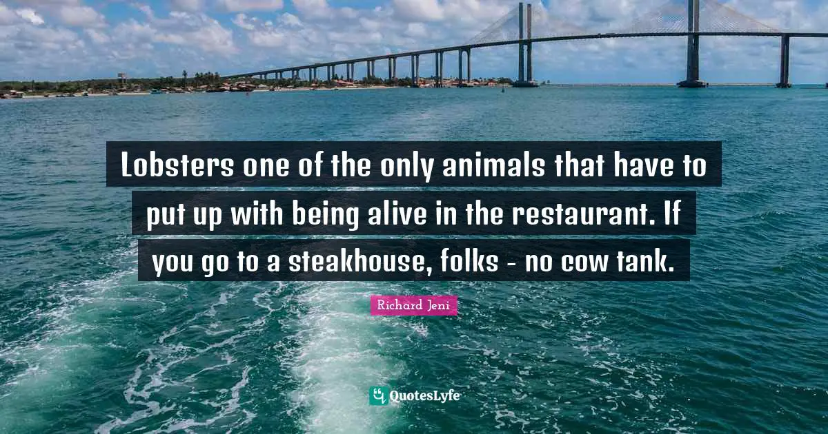 Lobsters one of the only animals that have to put up with being alive in the restaurant. If you go to a steakhouse, folks - no cow tank.
