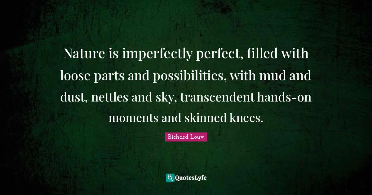 Nature is imperfectly perfect, filled with loose parts and possibilities, with mud and dust, nettles and sky, transcendent hands-on moments and skinned knees.