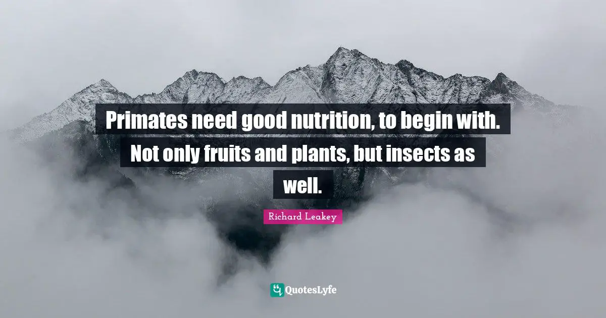 Primates need good nutrition, to begin with. Not only fruits and plants, but insects as well.
