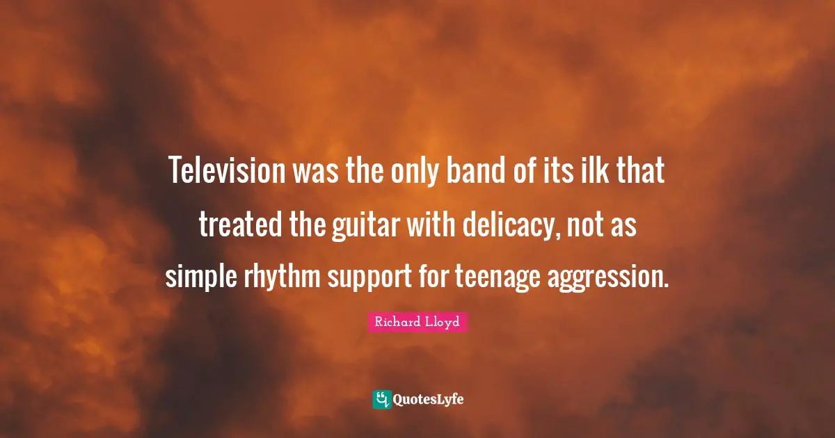 Television was the only band of its ilk that treated the guitar with delicacy, not as simple rhythm support for teenage aggression.