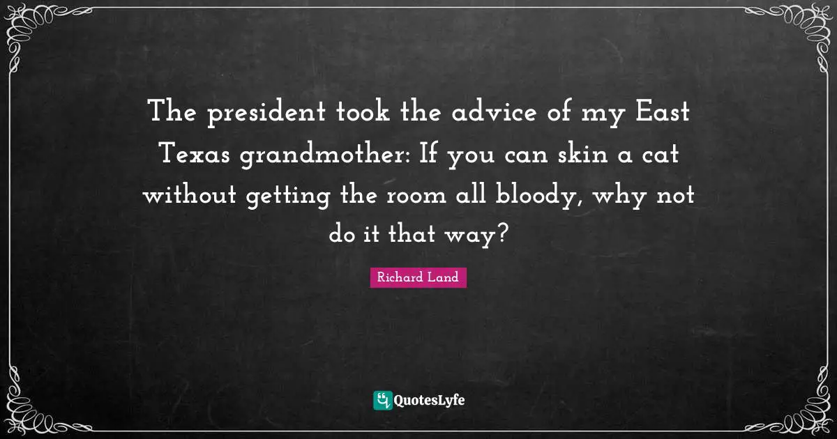 The president took the advice of my East Texas grandmother: If you can skin a cat without getting the room all bloody, why not do it that way?