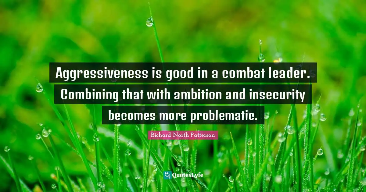 Combining Quotes: "Aggressiveness is good in a combat leader. Combining that with ambition and insecurity becomes more problematic."