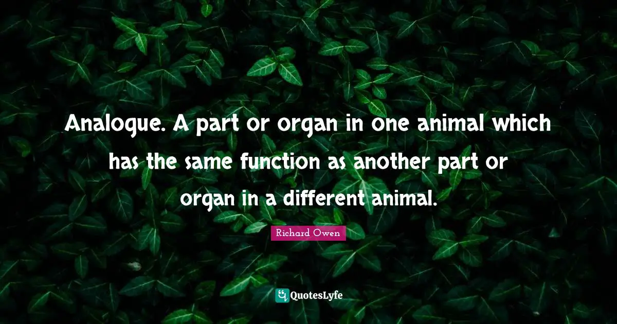 Analogue. A part or organ in one animal which has the same function as another part or organ in a different animal.