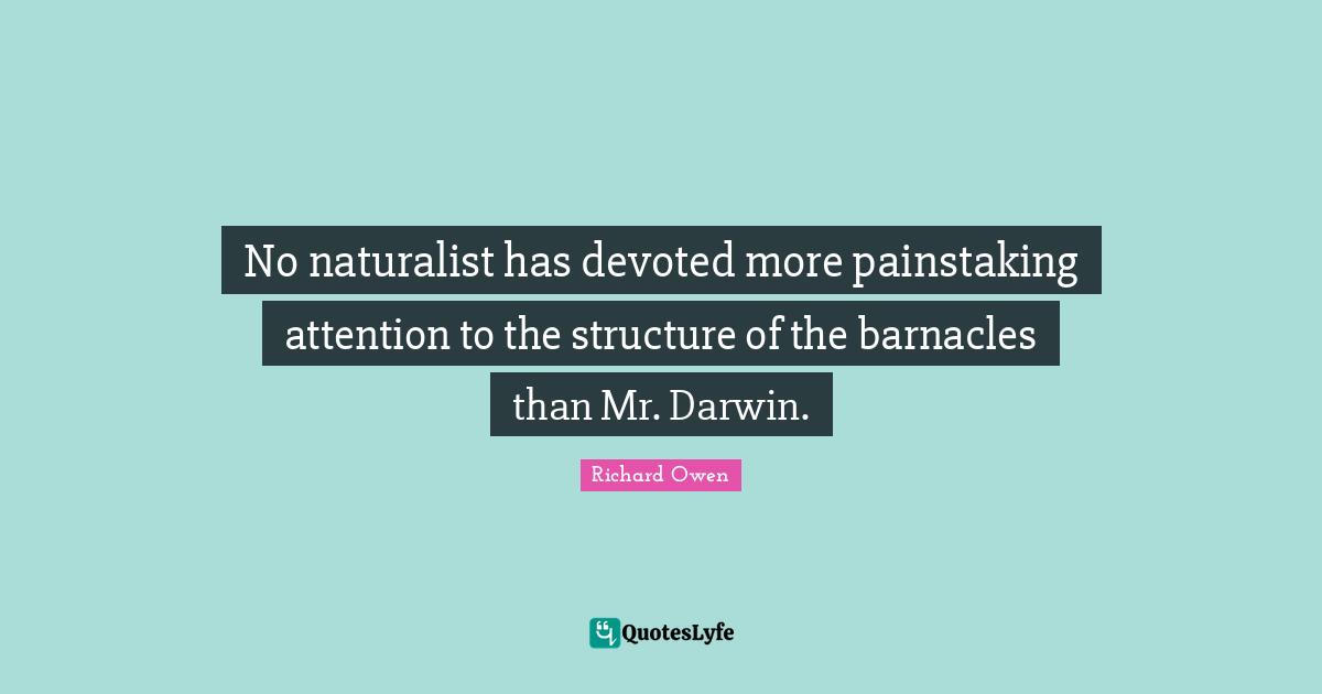 No naturalist has devoted more painstaking attention to the structure of the barnacles than Mr. Darwin.