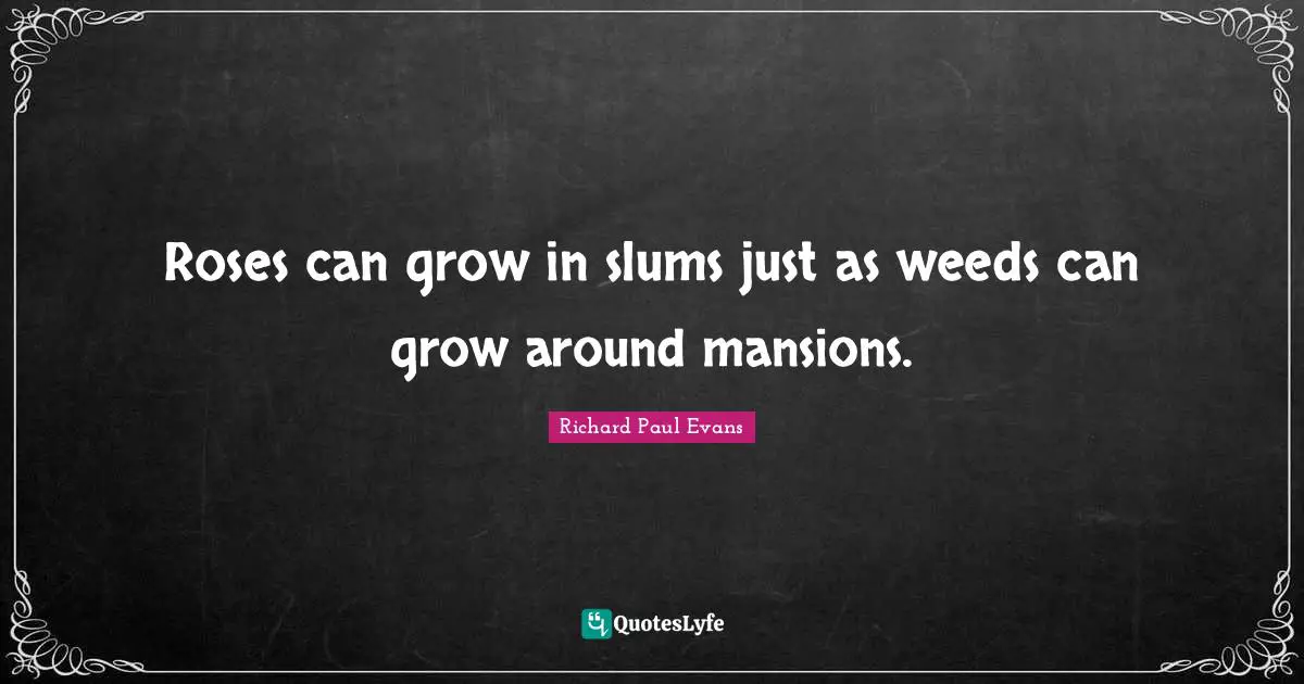 Rose Quotes: "Roses can grow in slums just as weeds can grow around mansions."