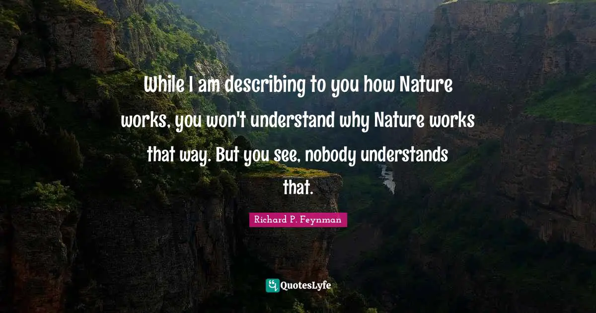 While I am describing to you how Nature works, you won't understand why Nature works that way. But you see, nobody understands that.