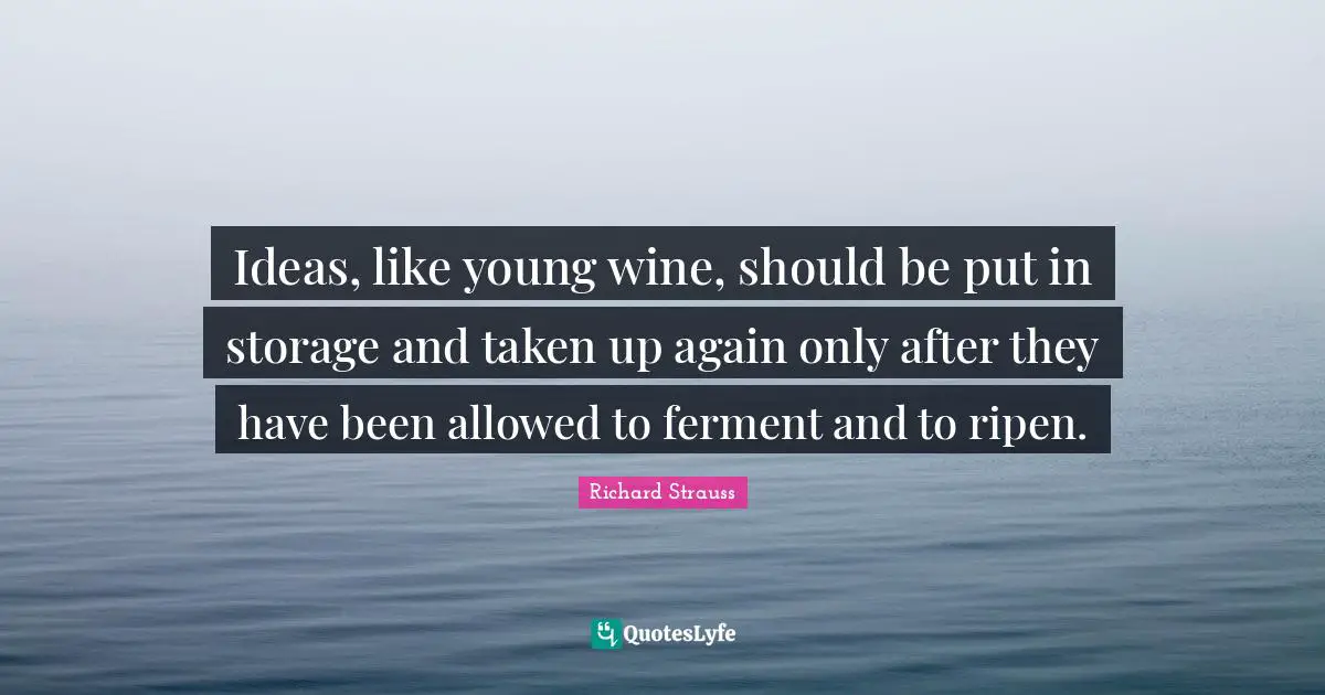 Ideas, like young wine, should be put in storage and taken up again only after they have been allowed to ferment and to ripen.