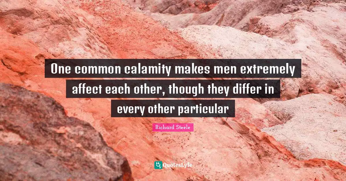 Calamity Quotes: "One common calamity makes men extremely affect each other, though they differ in every other particular"