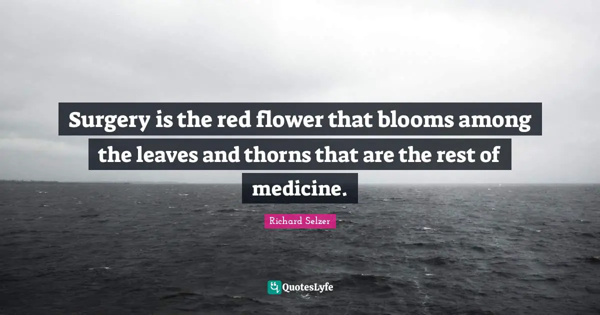 Surgery is the red flower that blooms among the leaves and thorns that are the rest of medicine.