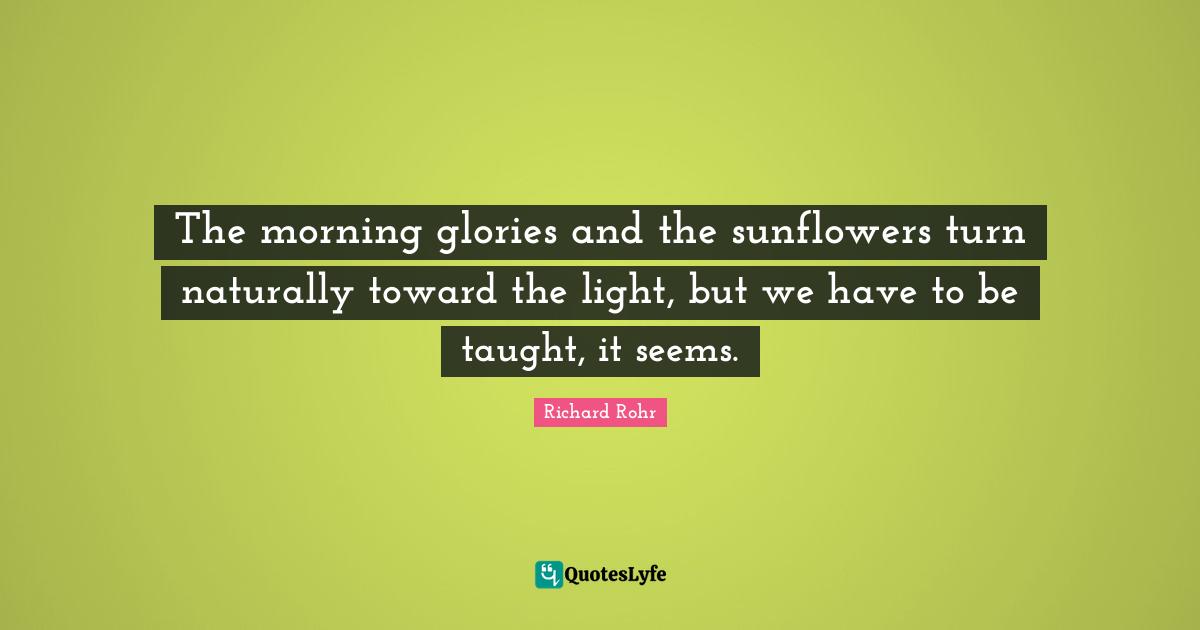 Richard Rohr Quotes: The morning glories and the sunflowers turn naturally toward the light, but we have to be taught, it seems.