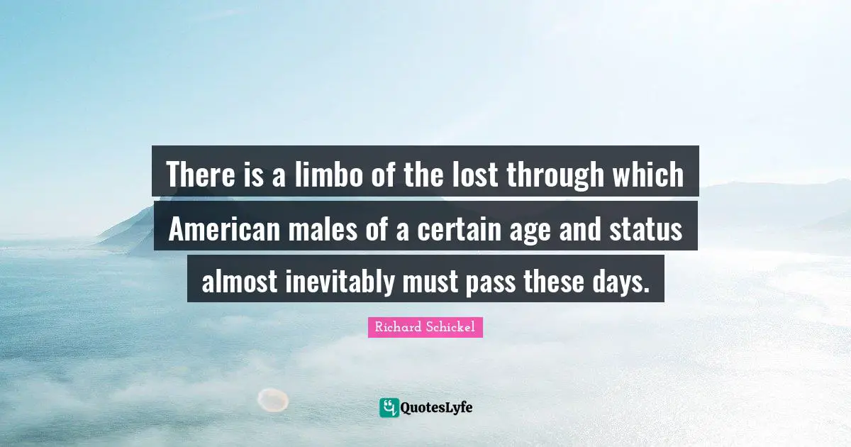 There is a limbo of the lost through which American males of a certain age and status almost inevitably must pass these days.