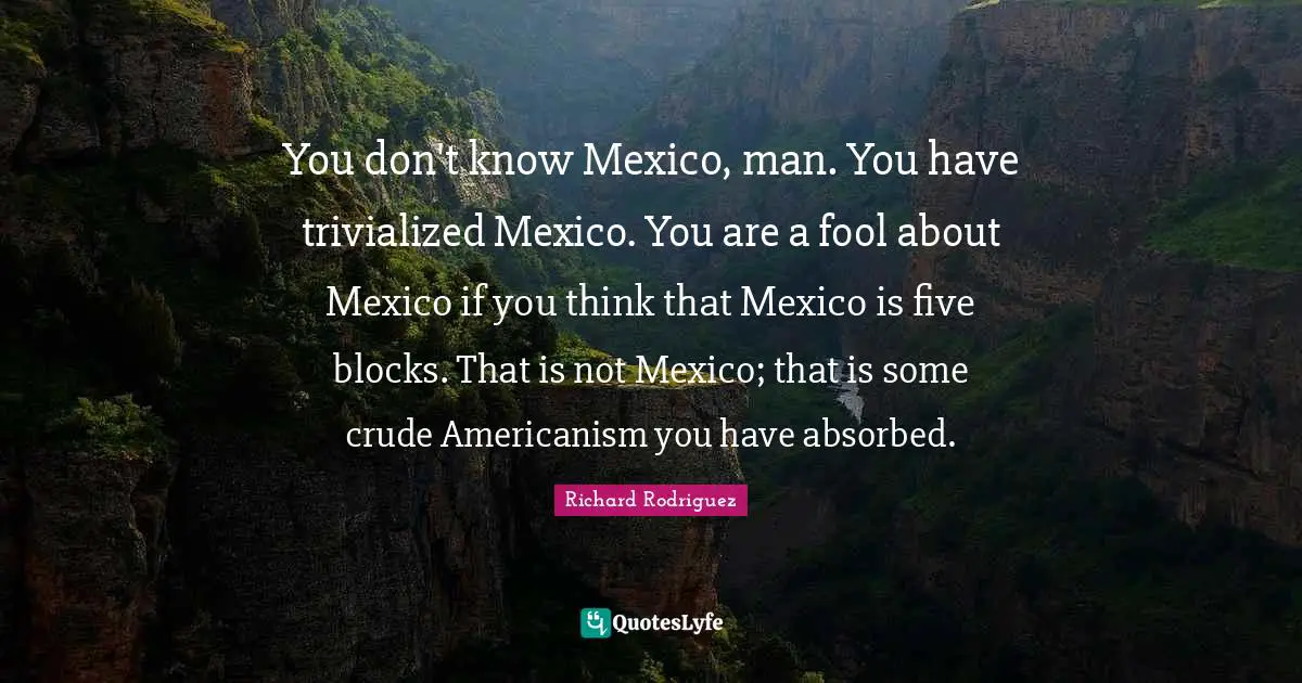 You don't know Mexico, man. You have trivialized Mexico. You are a fool about Mexico if you think that Mexico is five blocks. That is not Mexico; that is some crude Americanism you have absorbed.