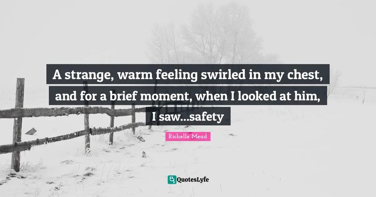 A strange, warm feeling swirled in my chest, and for a brief moment, when I looked at him, I saw...safety