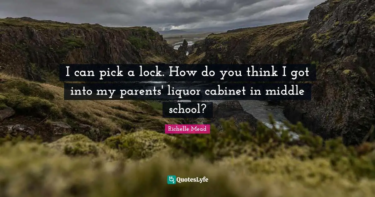 I can pick a lock. How do you think I got into my parents' liquor cabinet in middle school?