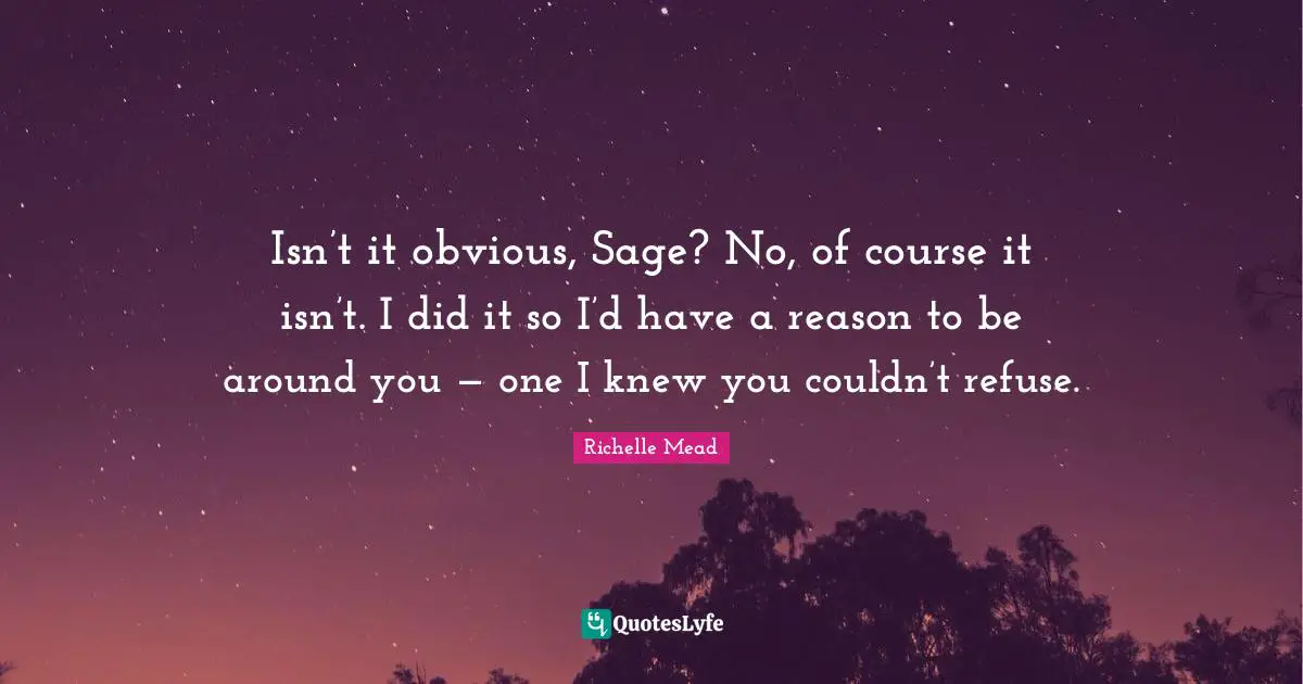 Isn’t it obvious, Sage? No, of course it isn’t. I did it so I’d have a reason to be around you — one I knew you couldn’t refuse.