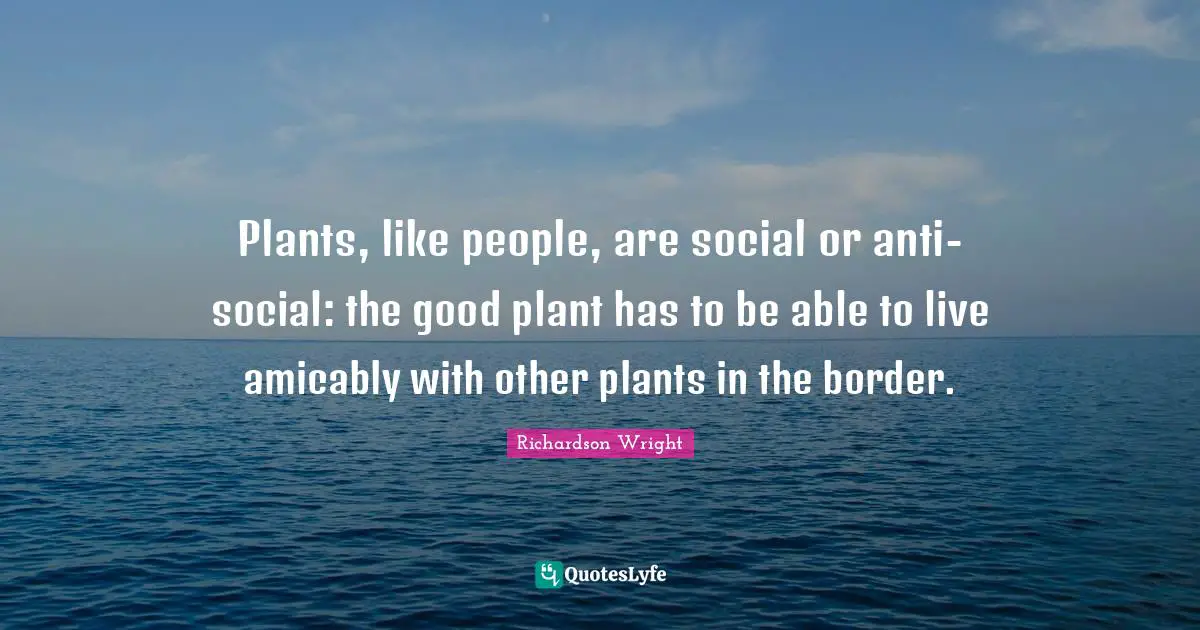 Plants, like people, are social or anti-social: the good plant has to be able to live amicably with other plants in the border.